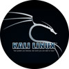 کالی لینوکس چیست و چگونه آن را نصب کنیم؟